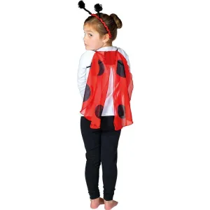 Ladybug Head & Wings Set Child